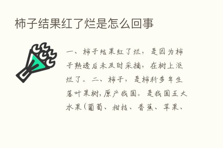 柿子结果红了烂是怎么回事