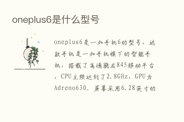 oneplus6是什么型号