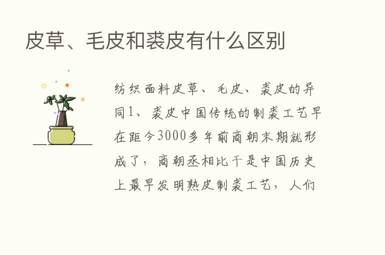 皮草、毛皮和裘皮有什么区别