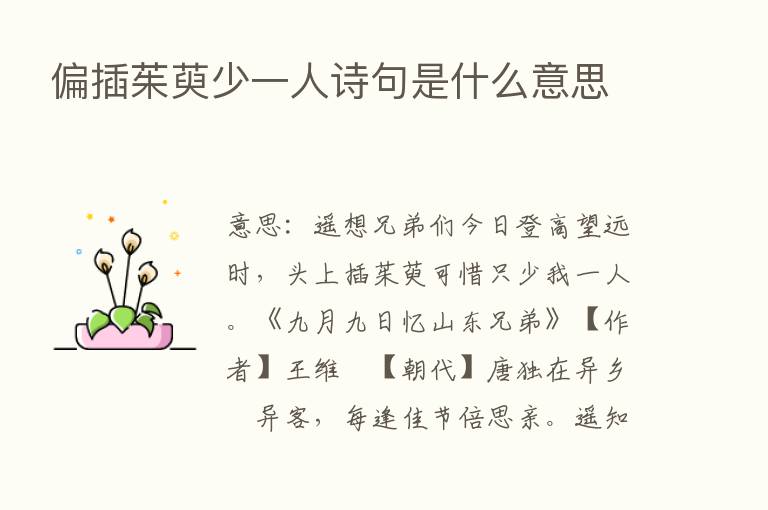 偏插茱萸少一人诗句是什么意思