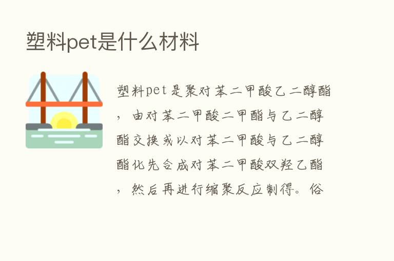 塑料pet是什么材料