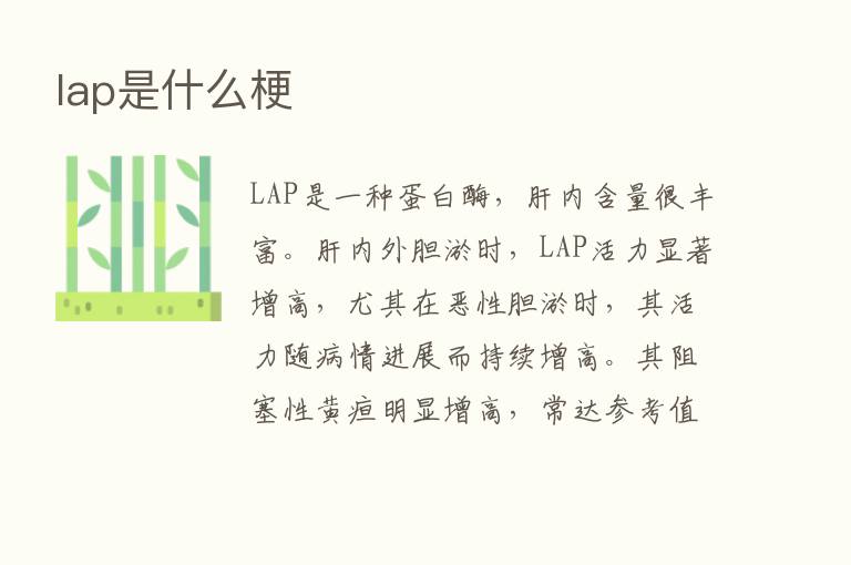 lap是什么梗