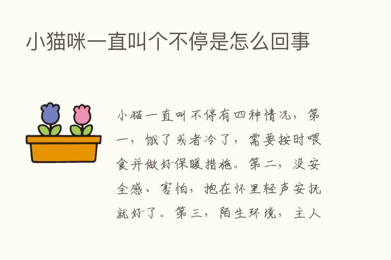 小猫咪一直叫个不停是怎么回事