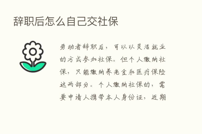 辞职后怎么自己交社保