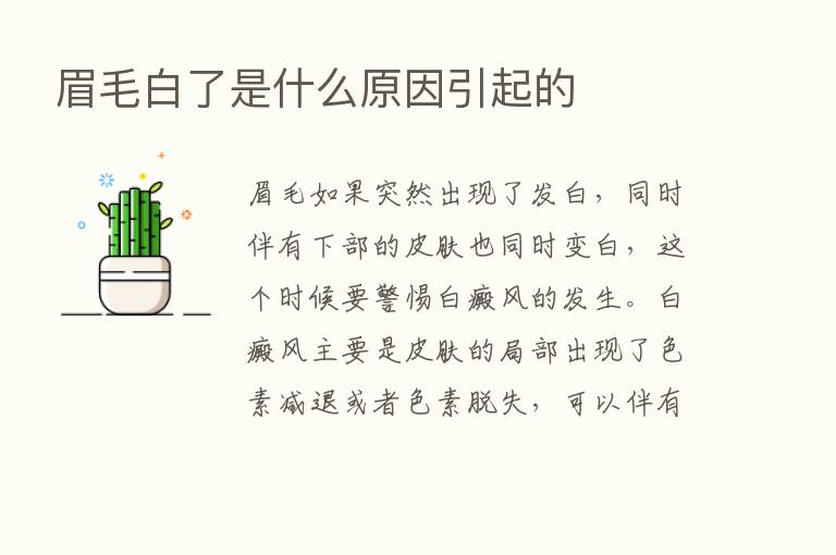 眉毛白了是什么原因引起的