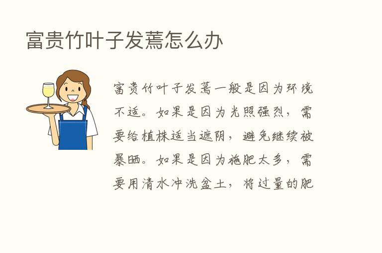 富贵竹叶子发蔫怎么办