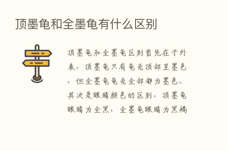 顶墨龟和全墨龟有什么区别