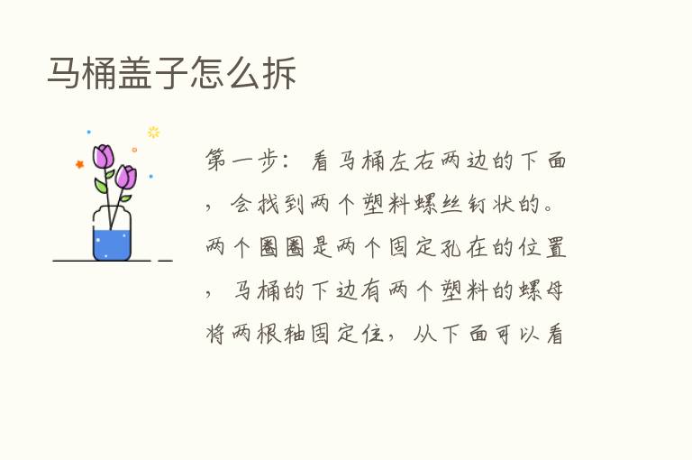 马桶盖子怎么拆