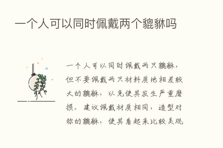 一个人可以同时佩戴两个貔貅吗