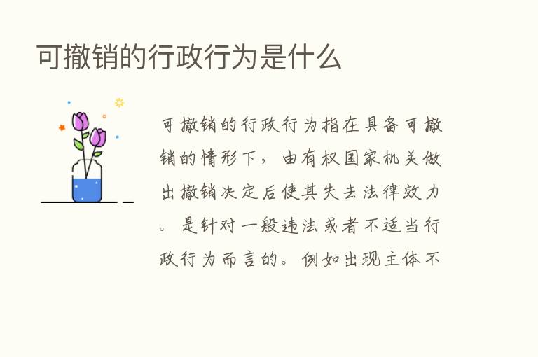 可撤销的行政行为是什么