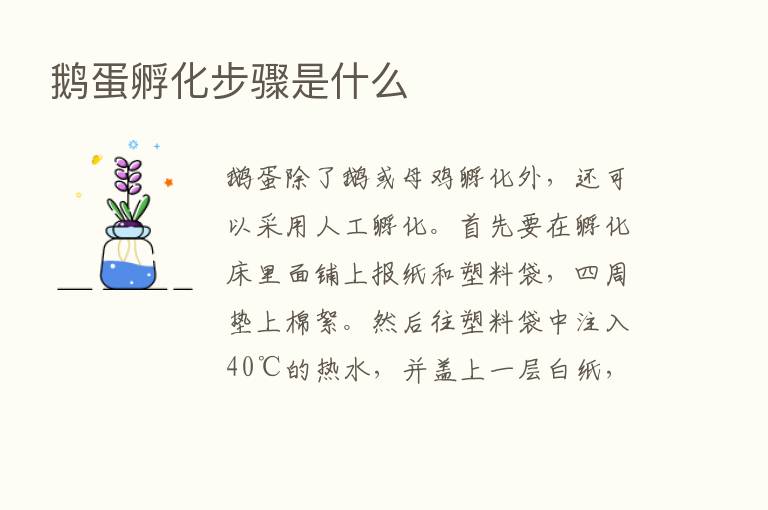 鹅蛋孵化步骤是什么