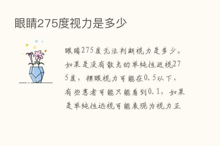 眼睛275度视力是多少