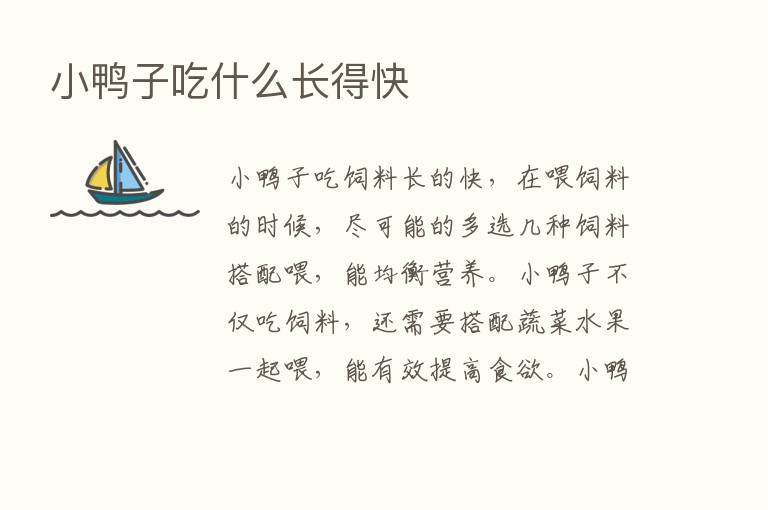 小鸭子吃什么长得快