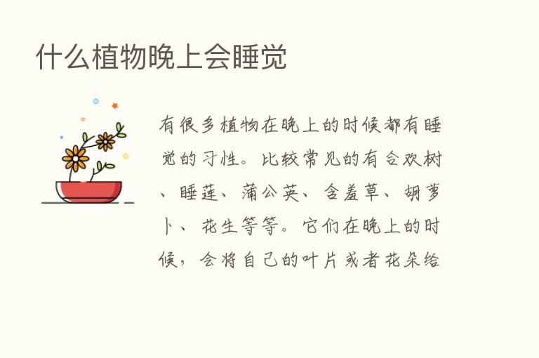 什么植物晚上会睡觉