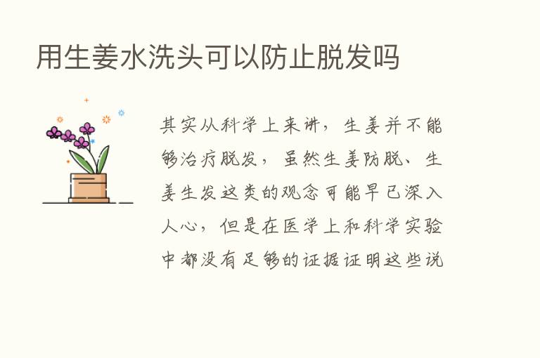 用生姜水洗头可以防止脱发吗