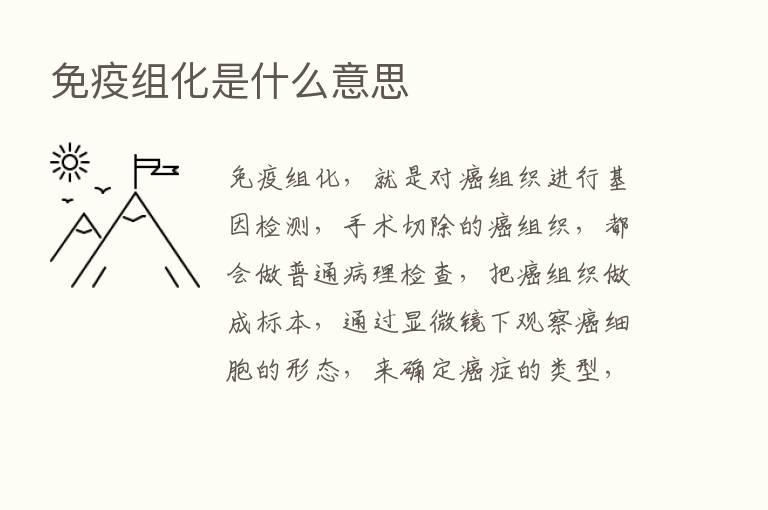 免疫组化是什么意思