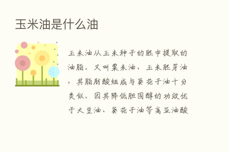 玉米油是什么油