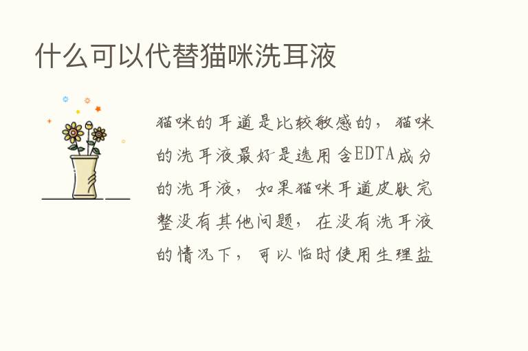 什么可以代替猫咪洗耳液