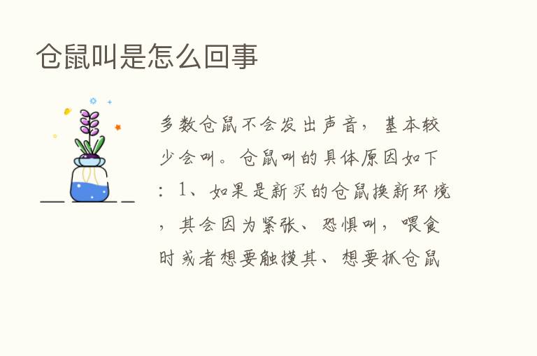 仓鼠叫是怎么回事