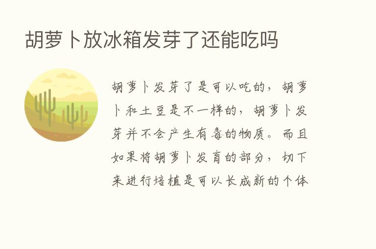 胡萝卜放冰箱发芽了还能吃吗