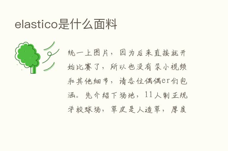 elastico是什么面料