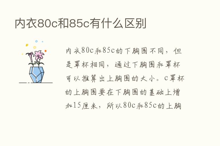 内衣80c和85c有什么区别