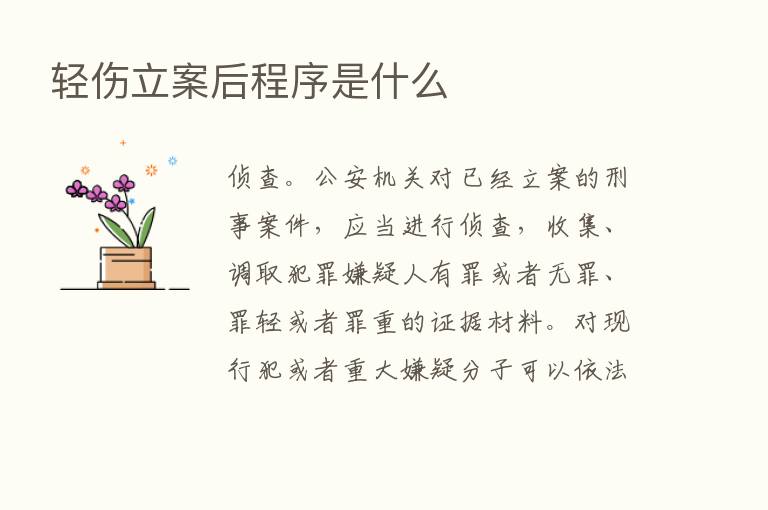 轻伤立案后程序是什么