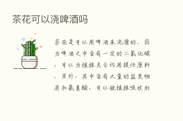 茶花可以浇啤酒吗