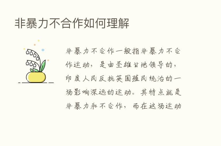 非暴力不合作如何理解