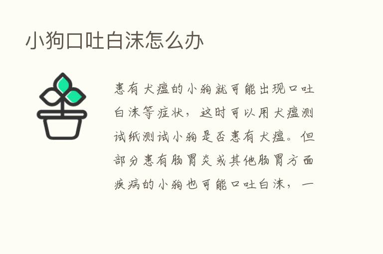 小狗口吐白沫怎么办