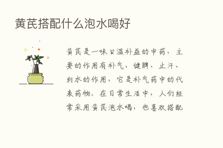 黄芪搭配什么泡水喝好