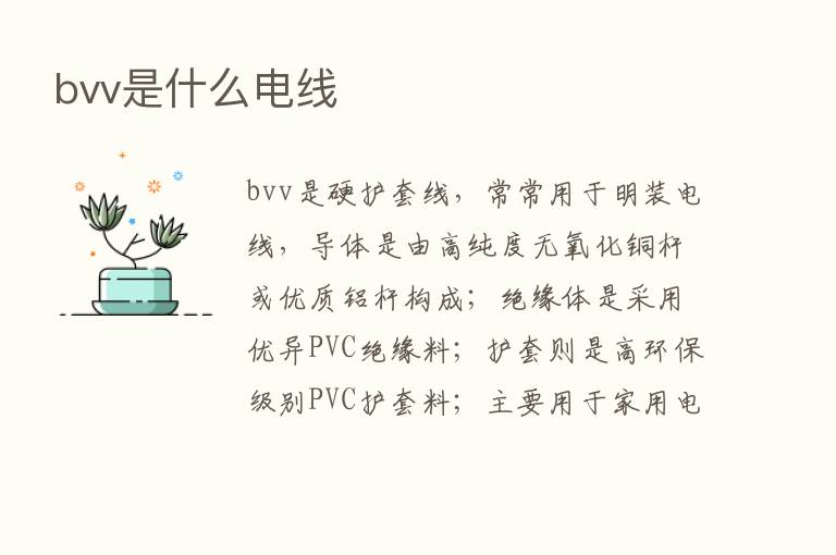 bvv是什么电线