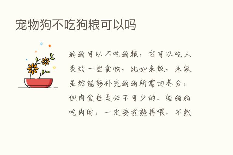 宠物狗不吃狗粮可以吗