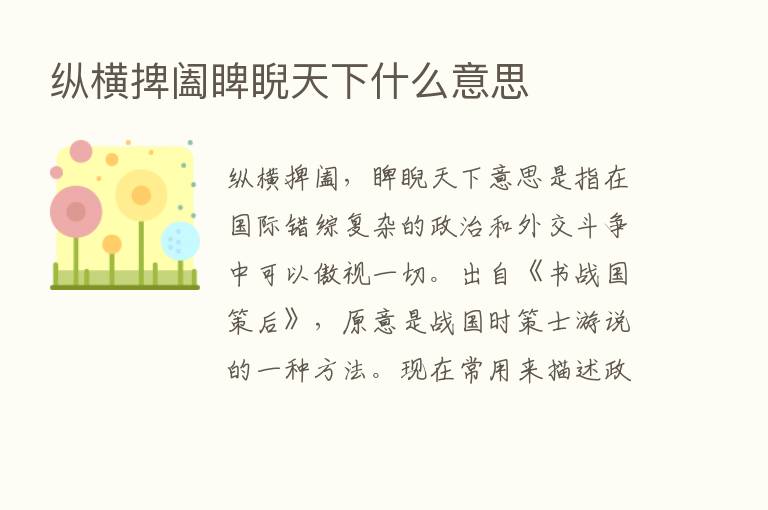 纵横捭阖睥睨天下什么意思