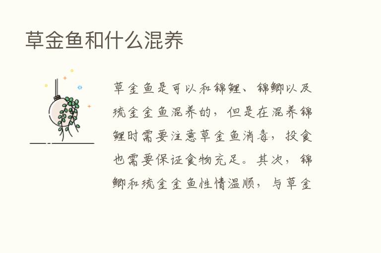 草金鱼和什么混养