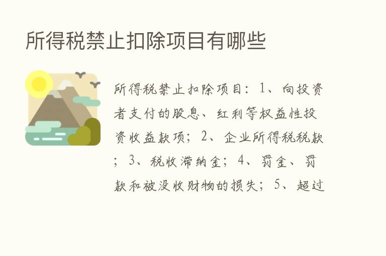 所得税禁止扣除项目有哪些