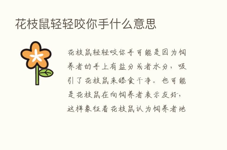 花枝鼠轻轻咬你手什么意思