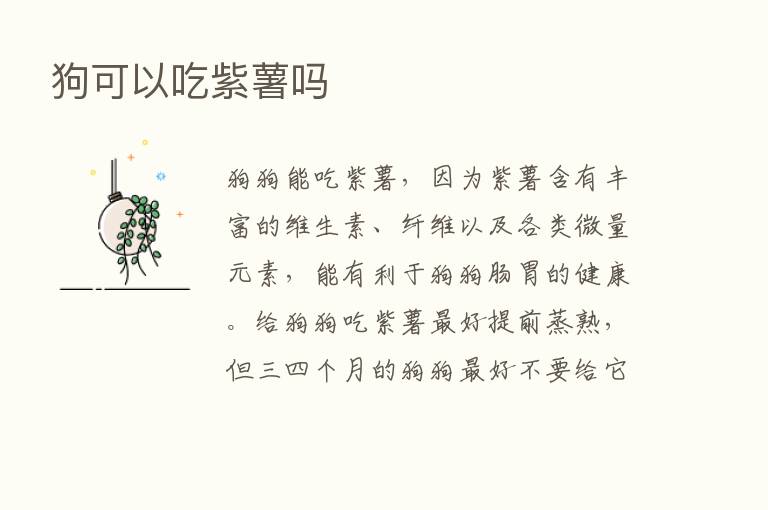 狗可以吃紫薯吗