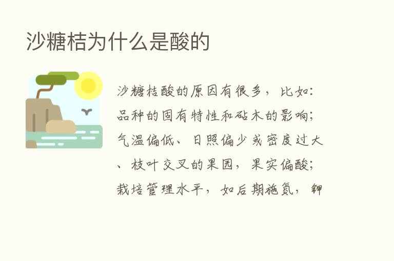 沙糖桔为什么是酸的