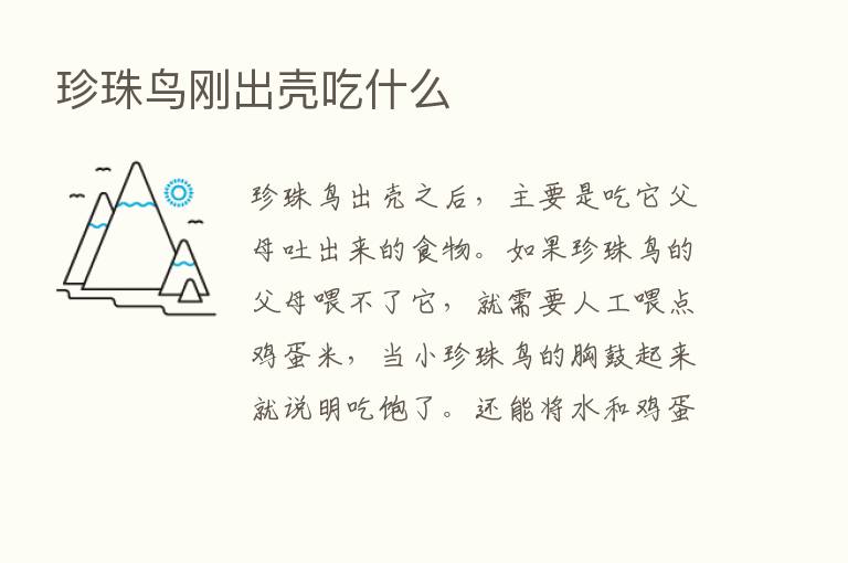 珍珠鸟刚出壳吃什么