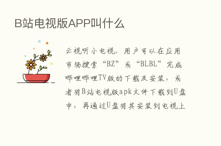 B站电视版APP叫什么