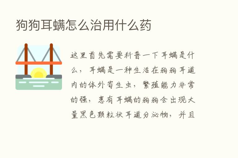 狗狗耳螨怎么治用什么药