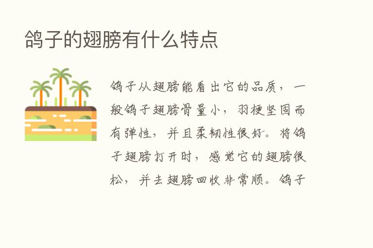 鸽子的翅膀有什么特点