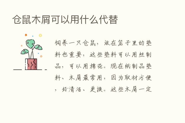 仓鼠木屑可以用什么代替