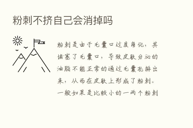 粉刺不挤自己会消掉吗