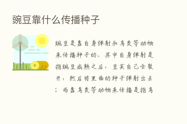 豌豆靠什么传播种子