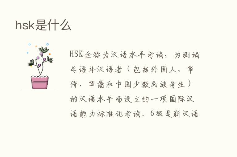 hsk是什么