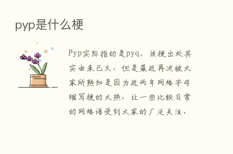 pyp是什么梗