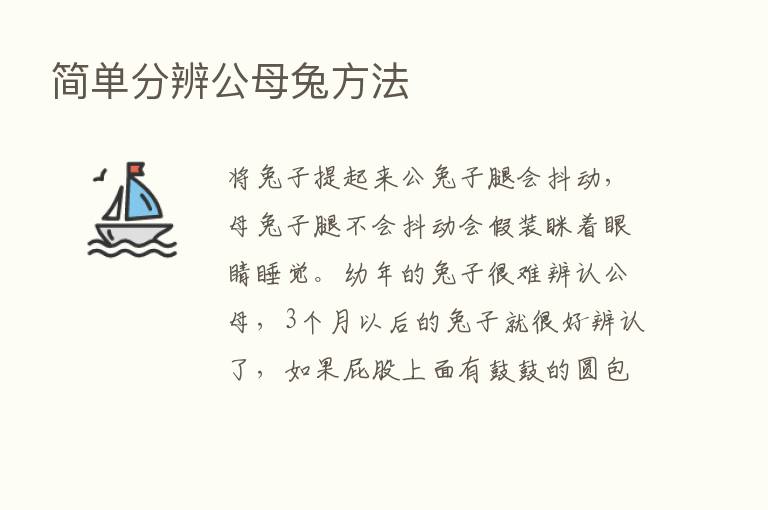 简单分辨公母兔方法