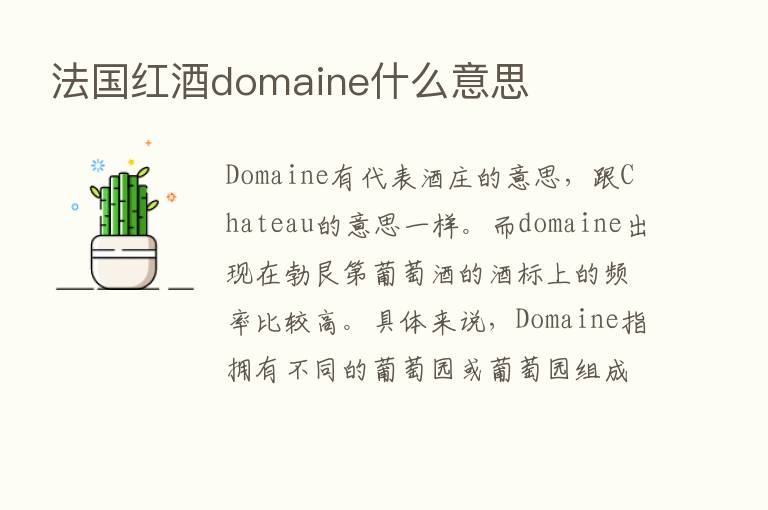 法国红酒domaine什么意思